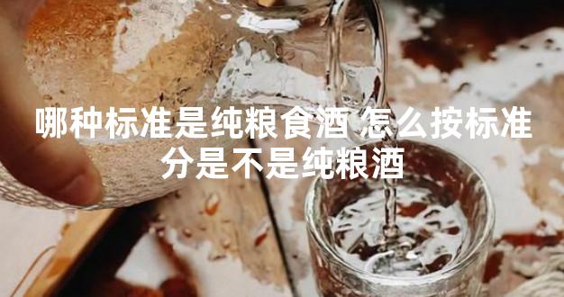 哪种标准是纯粮食酒 怎么按标准分是不是纯粮酒